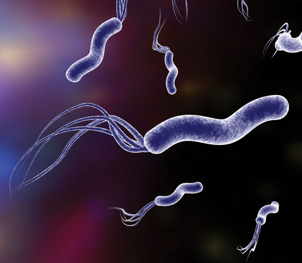 Slika Helicobacter pylori bakterije